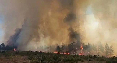 Çanakkale Merkez’de orman yangını