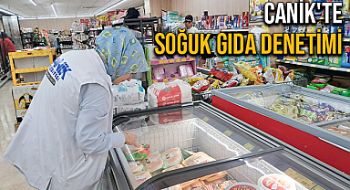 Canik'te Soğuk Gıda Denetimi