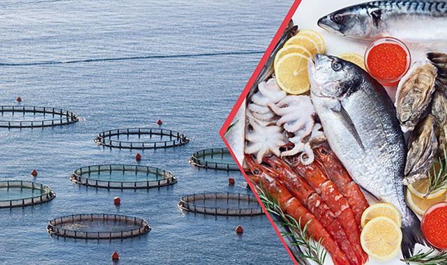 Doğu Karadeniz su ürünleri dünyaya ihraç ediliyor