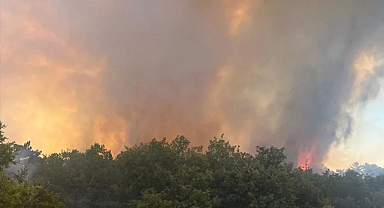 Edirne Keşan'da Orman Yangını