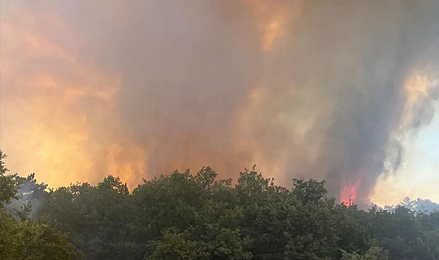 Edirne Keşan'da Orman Yangını