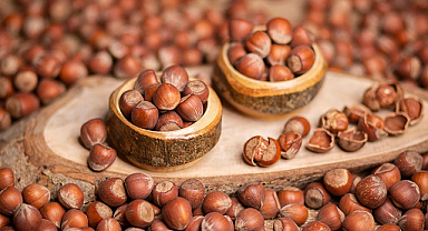 Fındık Taban Fiyatı Açıklandı; Fiyat 195 Lira...