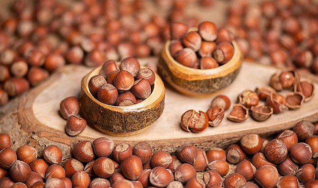 Fındık Taban Fiyatı Açıklandı; Fiyat 195 Lira...