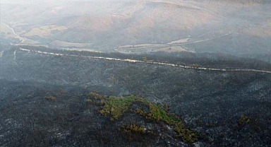 Gelibolu’daki Orman Yangını Kontrol Altında