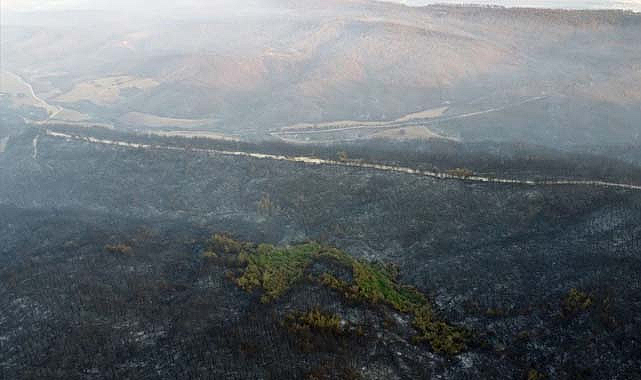 Gelibolu’daki Orman Yangını Kontrol Altında