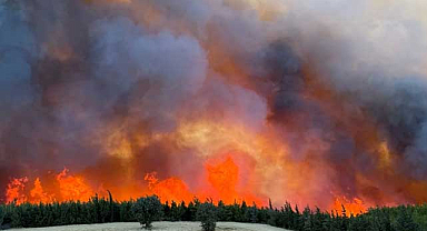 Gelibolu Ve Eceabat’ta Yangın Alarmı: Tahliye Sayısı Artıyor