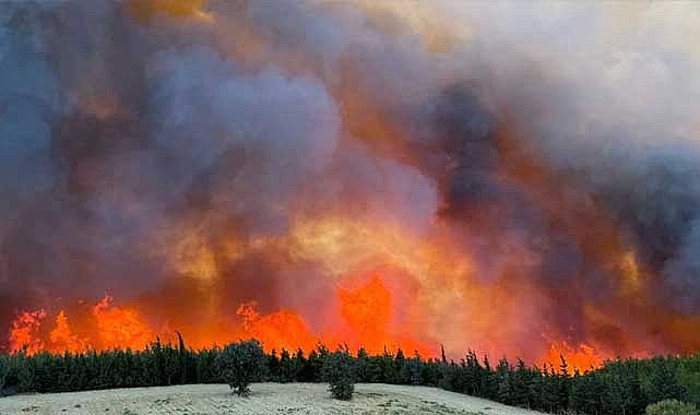 Gelibolu Ve Eceabat’ta Yangın Alarmı: Tahliye Sayısı Artıyor