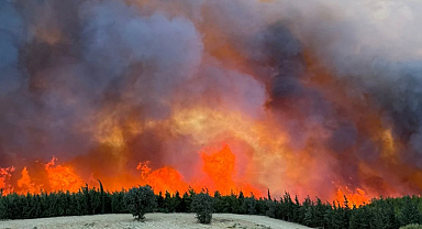 Hatay ve Mersin'de orman yangını! Tahliyeler ve yoğun müdahale sürüyor