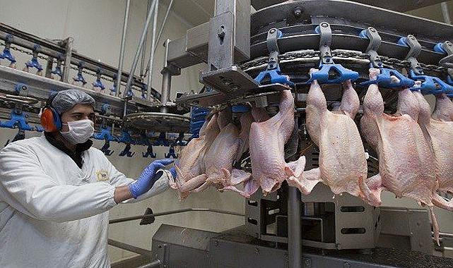 Haziran Ayında Tavuk Eti Üretimi Rekor Artış Gösterdi