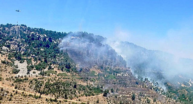 Mersin Bozyazı’da Orman Yangını