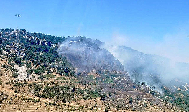 Mersin Bozyazı’da Orman Yangını