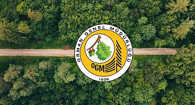 OGM: Orman Yangını Riski Yükseldi, Dikkatli Olalım!