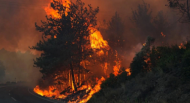 Seferihisar’da orman yangını: Müdahale havadan ve karadan sürüyor