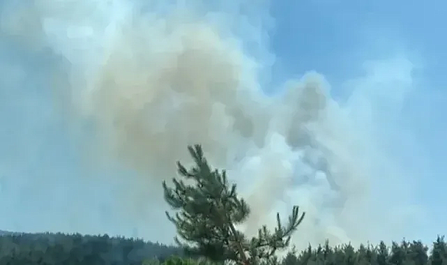 Antalya Kemer’de otellere yakın orman yangını