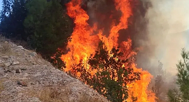 Balıkesir Sındırgı’da orman yangını: Ekipler seferber oldu
