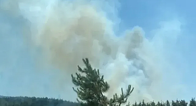 Burdur’un Ağlasun ilçesinde orman yangını