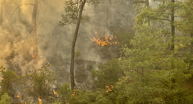 Çanakkale Ezine'de orman yangınına müdahale sürüyor