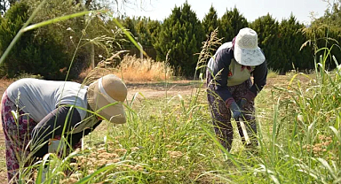 Çiftçilere 476 milyon liralık destekleme ödemesi bugün yapılacak