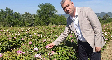 Gül üreticisinin meraklı bekleyişi sona erdi