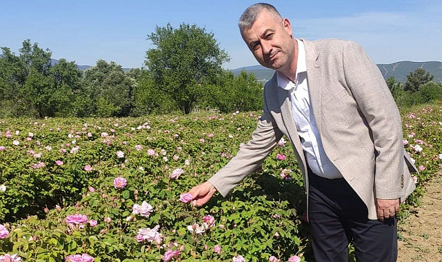 Gül üreticisinin meraklı bekleyişi sona erdi