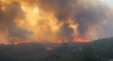 Karabük ve Bursa’da orman yangınları: Ekipler müdahale ediyor