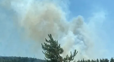 Köyceğiz’de orman yangınına müdahale sürüyor