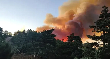 Manisa’da palet fabrikasında yangın çıktı