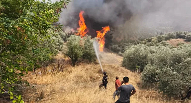 Orman gönüllülerine şehit statüsü getirildi