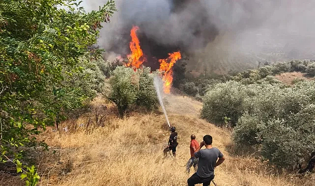 Orman gönüllülerine şehit statüsü getirildi