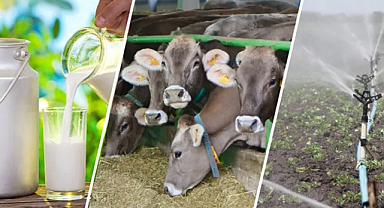 Tarımsal Destekleme Ödemeleri Hesaplara Yatmaya Başladı