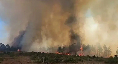 Tokat’ın Artova ilçesinde makilik yangını