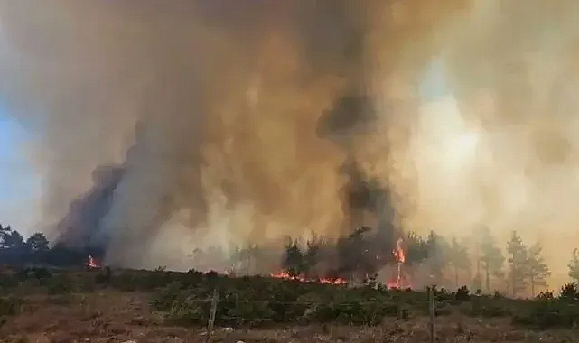 Tokat’ın Artova ilçesinde makilik yangını