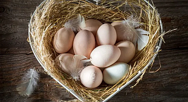 Türkiye’nin ABD’ye yumurta ihracatı 4 kat arttı