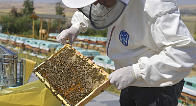 ABB’den arı üreticilerine büyük destek