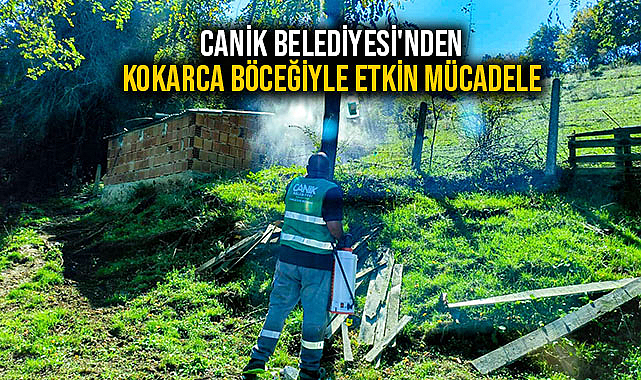 Canik Belediyesi'nden Kokarca Böceğiyle Etkin Mücadele