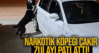 Narkotik Köpeği Çakır Zulayı Patlattı!
