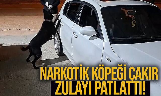 Narkotik Köpeği Çakır Zulayı Patlattı!
