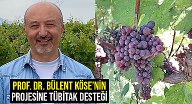 Prof. Dr. Bülent Köse’nin Projesine Tübitak Desteği