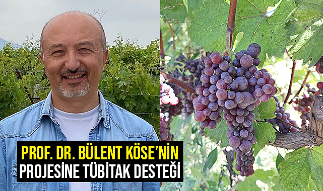 Prof. Dr. Bülent Köse’nin Projesine Tübitak Desteği