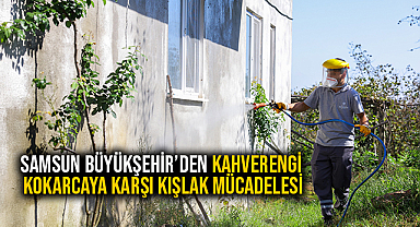 Samsun Büyükşehir’den Kahverengi Kokarcaya Karşı Kışlak Mücadelesi