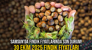 Samsun'da Fındık Fiyatlarında Son Durum! 30 Ekim 2025 Fındık Fiyatları