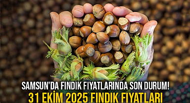 Samsun'da Fındık Fiyatlarında Son Durum! 31 Ekim 2025 Fındık Fiyatları