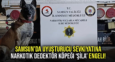 Samsun’da Uyuşturucu Sevkiyatına Narkotik Dedektör Köpeği ‘ŞİLA’ Engeli!