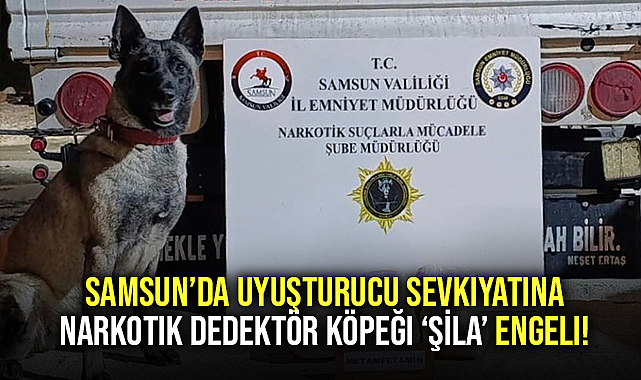 Samsun’da Uyuşturucu Sevkiyatına Narkotik Dedektör Köpeği ‘ŞİLA’ Engeli!