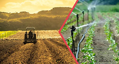 Tarımsal desteklerle ilgili Tarım Bakanlığından açıklama