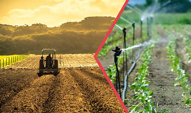 Tarımsal desteklerle ilgili Tarım Bakanlığından açıklama