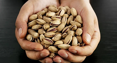 Türkiye’nin fıstık ihracatı 9 ayda 153 milyon dolara ulaştı