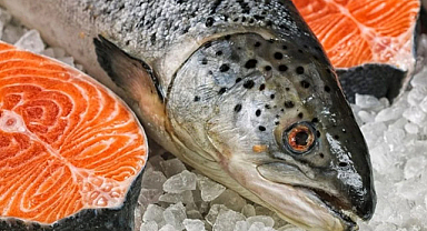 Artvin’den 67 ülkeye Türk somonu ihracatı