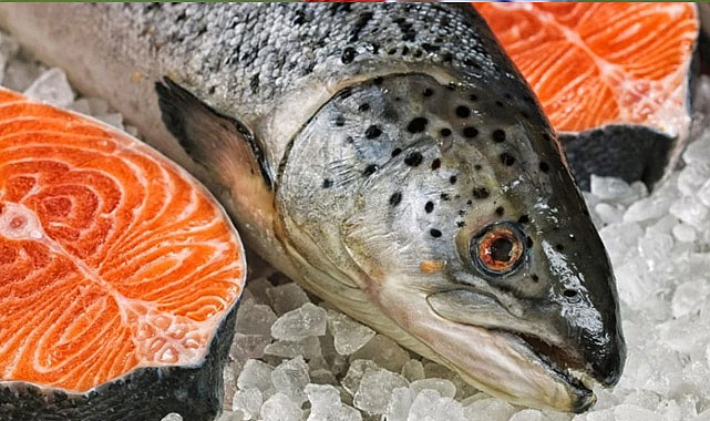 Artvin’den 67 ülkeye Türk somonu ihracatı