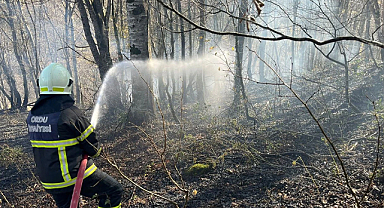 Ordu’da son bir haftada 40 yangın